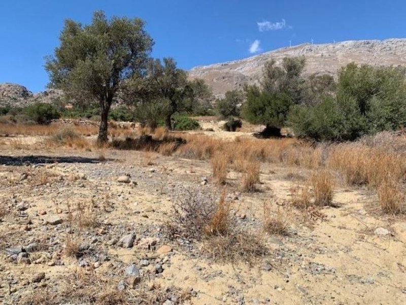 Ag. Paraskevi bei Triopetra Kreta, Agia Paraskevi: Bebaubares Grundstück in der Nähe der Strände Triopetra und Ligres zu verkaufen Grundstück kaufen